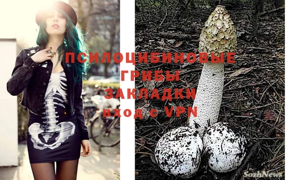 герыч Абаза