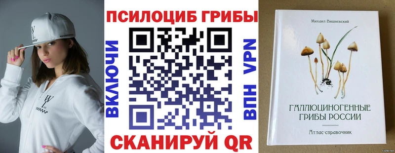 Галлюциногенные грибы Psilocybe Химки